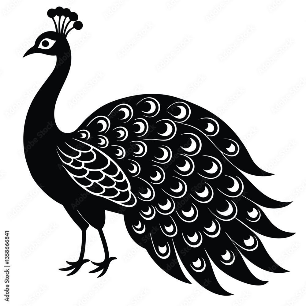 Fototapeta premium Adobe IllustrPeacock Vector Shilhouette Bundle Set Collectionator Artwork