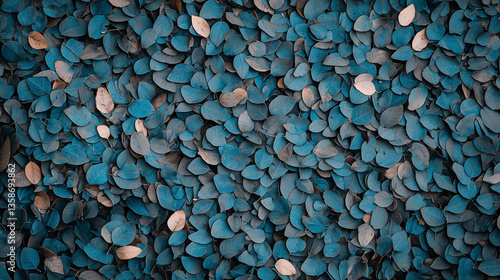 Texture of Leafy Canopy: A ...