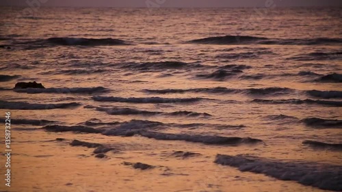 奄美大島、春の夕景の海。