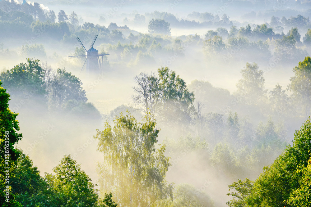 Naklejka premium Landscape of the Istra River valley in the morning fog