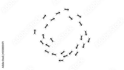 Ant mill, black isolated silhouette