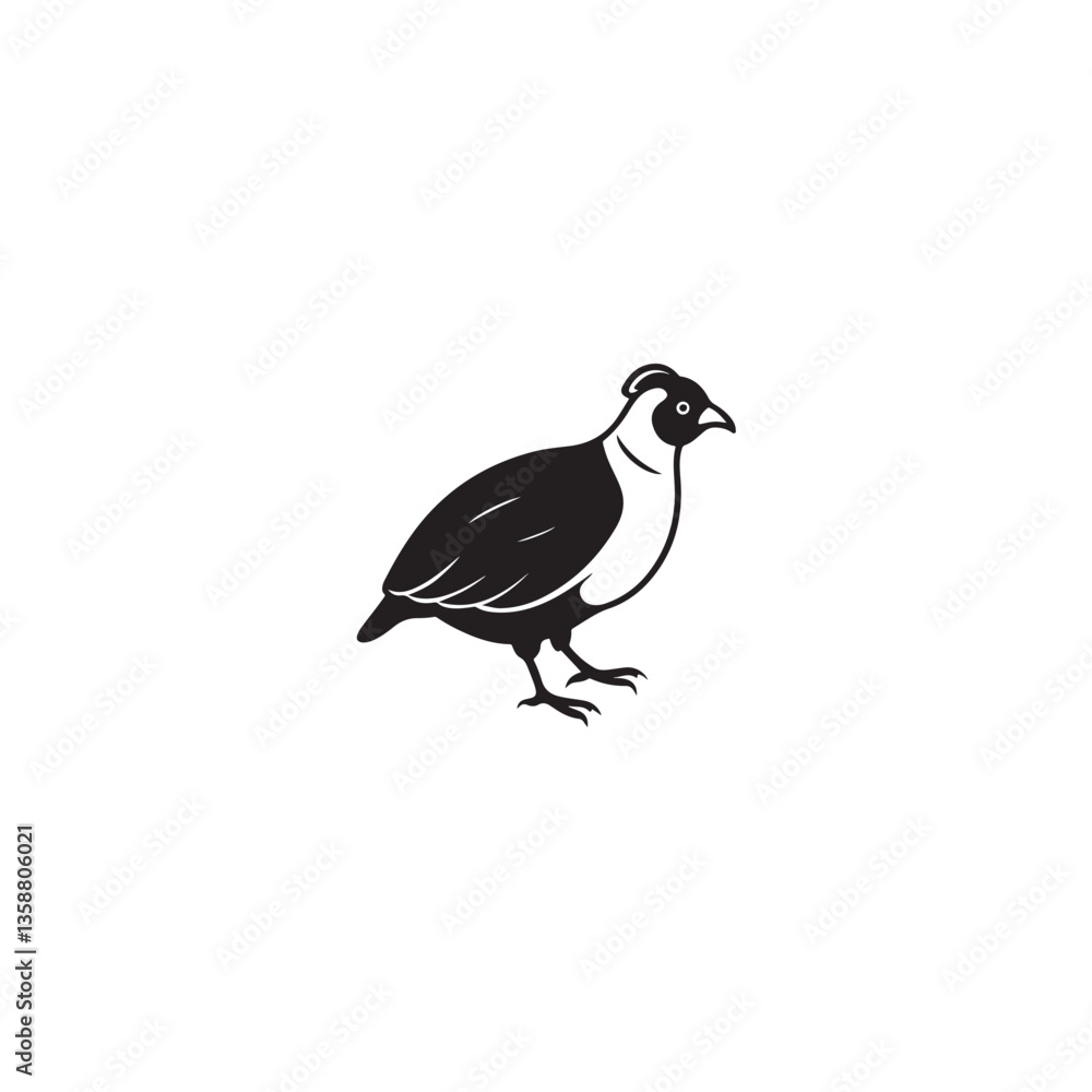 Fototapeta premium A clean and minimalistic graphic of a quail standing boldly, its form defined by stark contrasts, suggesting simplicity and focus.