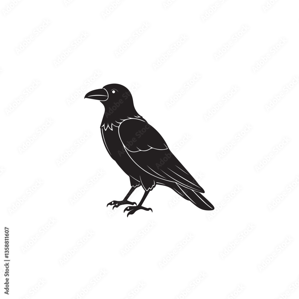 Obraz premium Blackbird or crow isolated on a white background
