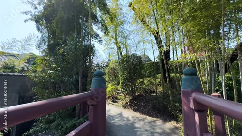 Pathway through a bamboo forest in Tokyo, Japan, capturing the calmness of nature