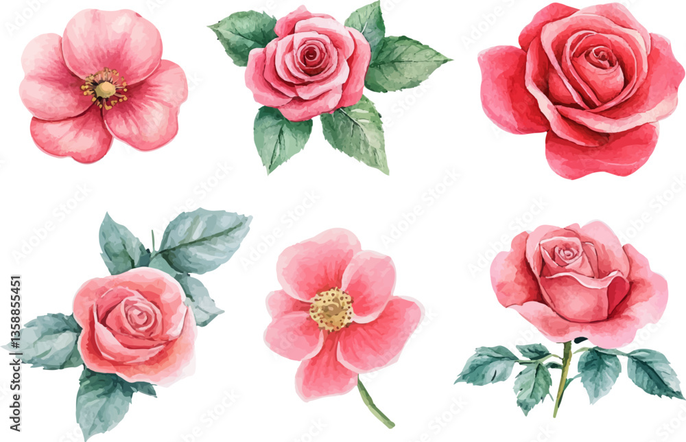 Fototapeta premium set of roses vector illustration