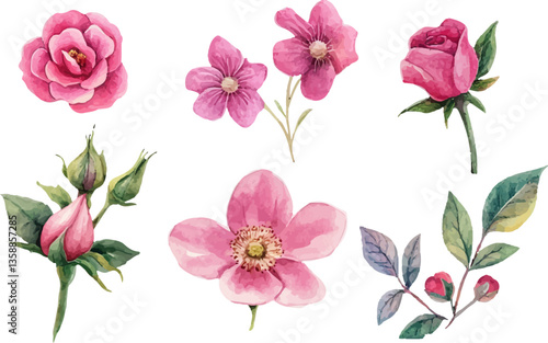 Wallpaper Mural watercolor roses set,watercolor rose clipart,watercolor rose set,watercolor roses,vintage roses illustration,roses illustration,roses clipart,rose illustrations, handpainted roses,handdrawn roses,rose Torontodigital.ca