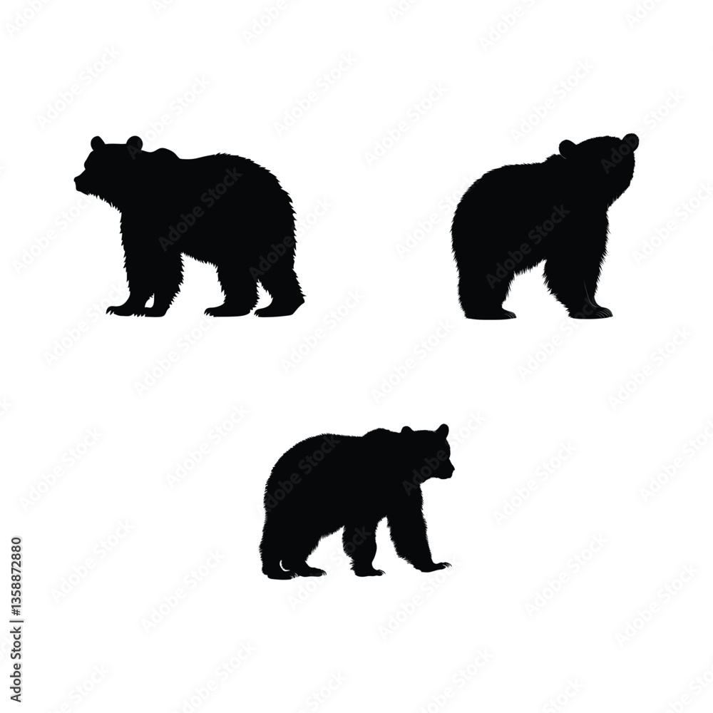 Fototapeta premium Grizzly black silhouette isolated on white background