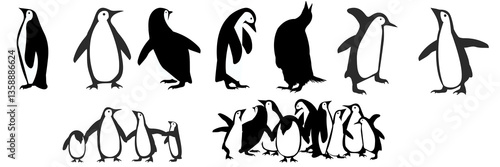 King penguin looking up Antarctica, Emperor penguin against white background