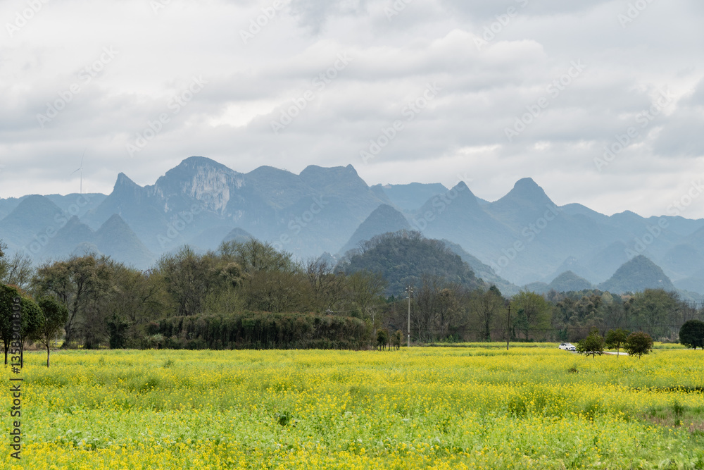 Obraz premium mountain landscape with yellow flowers