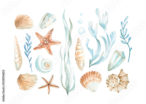 Seashells and seaweeds set of watercolor illustrations in orange, blue and red colors. Collection of hand drawn elements isolated on white background. Design elements for labels, textiles, tableware