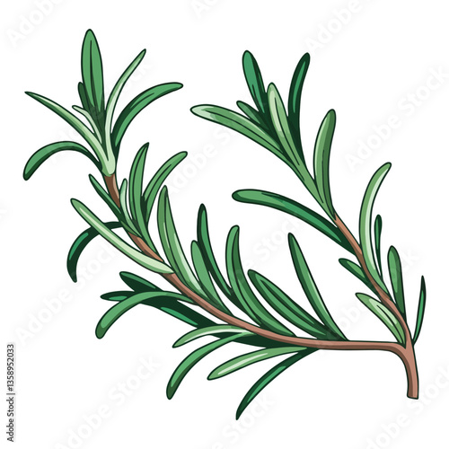 Fragrant rosemary branch with evergreen needle like leaves. Vector illustration of this perennial herb, ideal for culinary, botanical, and nature themed designs.