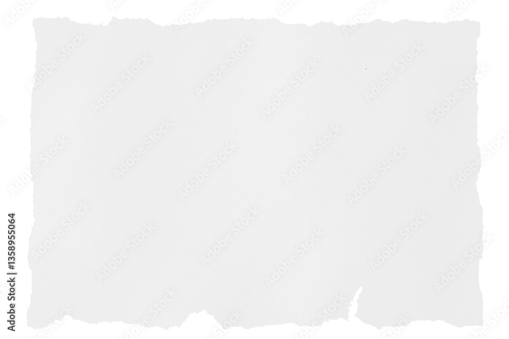Obraz premium torn light gray paper on a transparent background