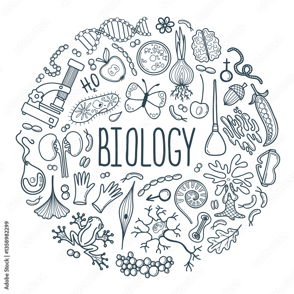 Hand drawn biology doodle elements set. Whimsical line art symbols vector illustrations on white background. Circle composition Hand drawn biology doodle elements set. Whimsical line art symbols vector illustrations on white background. Circle composition