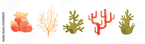 Sea Weeds and Algae of Different Color and Shape Vector Set