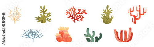 Sea Weeds and Algae of Different Color and Shape Vector Set