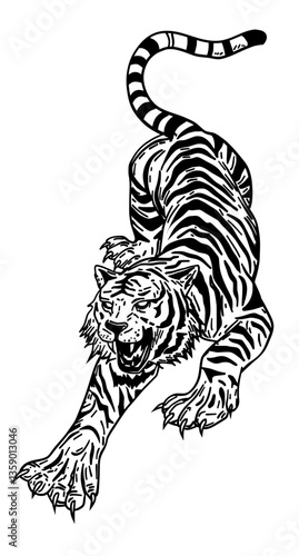 Detailed line drawing of a crouching tiger in a striking, low-angle position. 