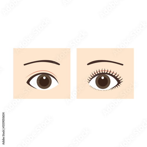 アイメイク前と後の比較 before after 眉毛あり