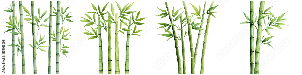 Fototapeta premium Zen productivity focus and meditation, A cluster of vibrant green bamboo stalks with lush leaves, showcasing various angles and arrangements of this versatile plant.