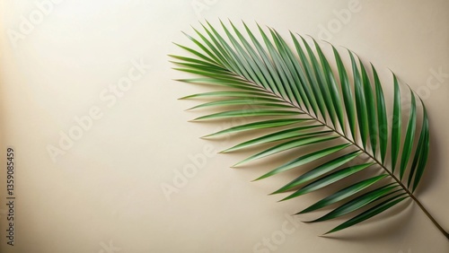 A single palm frond against a muted, neutral background showcasing the delicate beauty of nature's artistry.