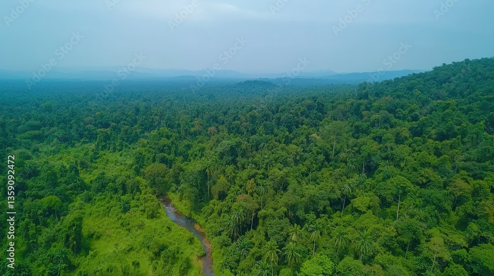 Fototapeta premium Aerial view of lush green rainforest with a winding river.