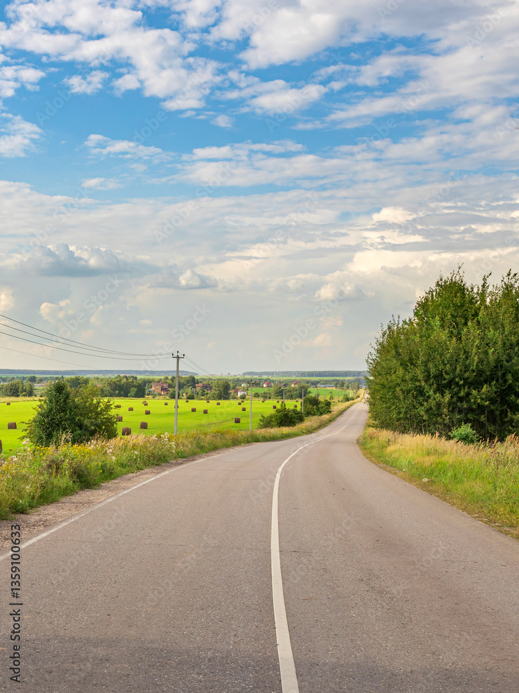 Fototapeta premium A road with a few trees and a few houses in the background