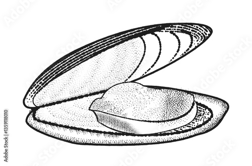 Vintage Mussels grunge texture icon for menu poster card. Seafood illustration in old ink style