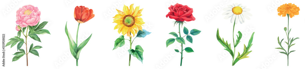 Fototapeta premium Colorful elegant floral illustrations, element vector set