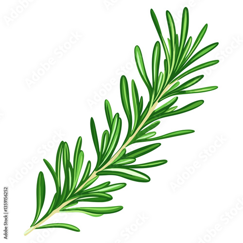 Green rosemary leaf leaves illustration plant vector