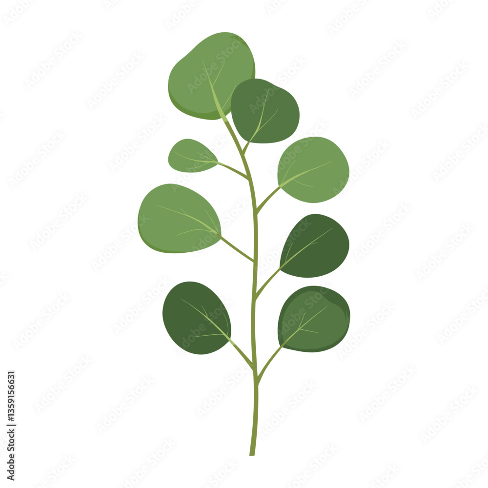 Tropical Eucalyptus leaf illustration eucalyptus plant vector