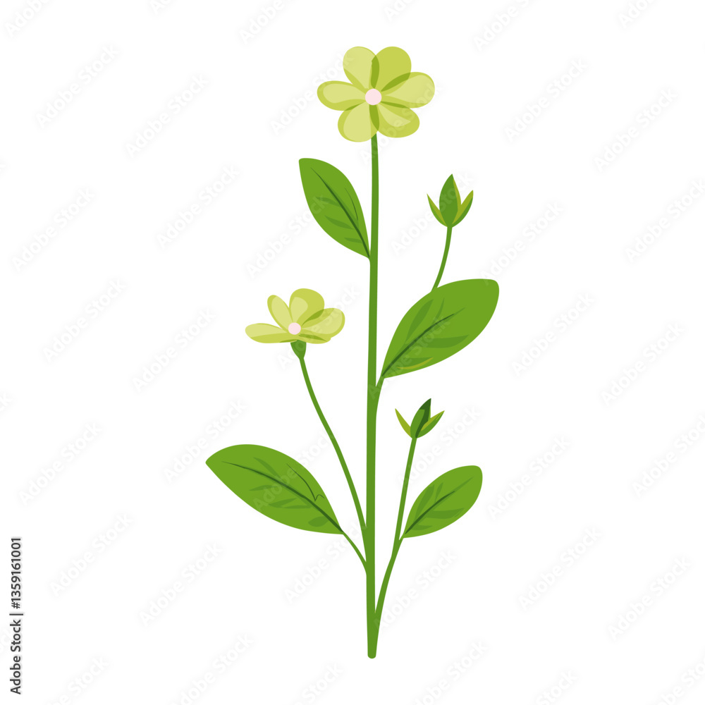 Fototapeta premium A little wildflower clip art illustration graphic leaves vector