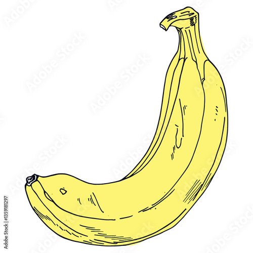 Obraz na płótnie Banana illustration fruit hand-drawn vector w salonie
