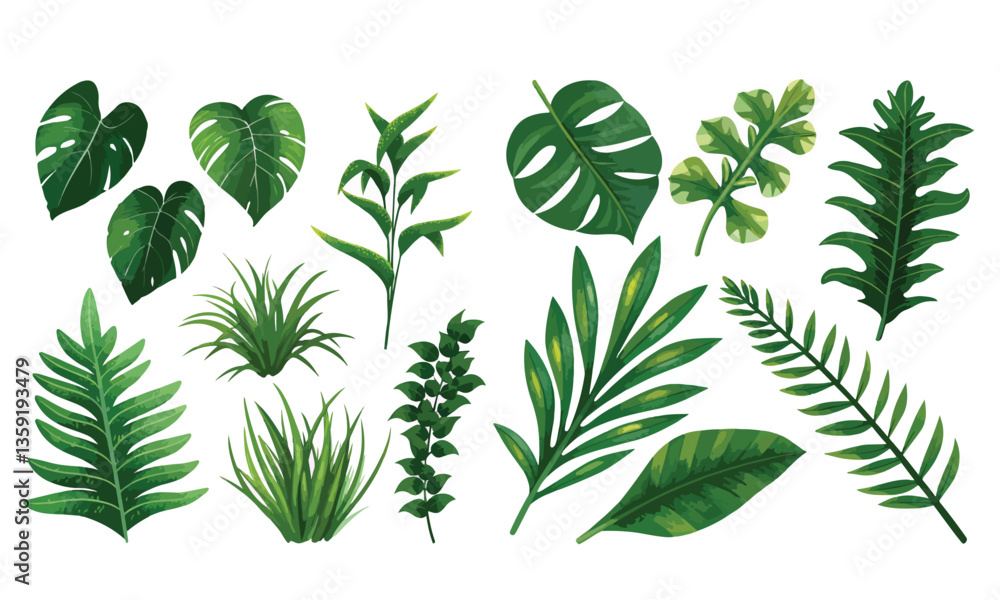 Set of vector illustrators of leaves of tropical various plants Set of vector illustrators of leaves of tropical various plants