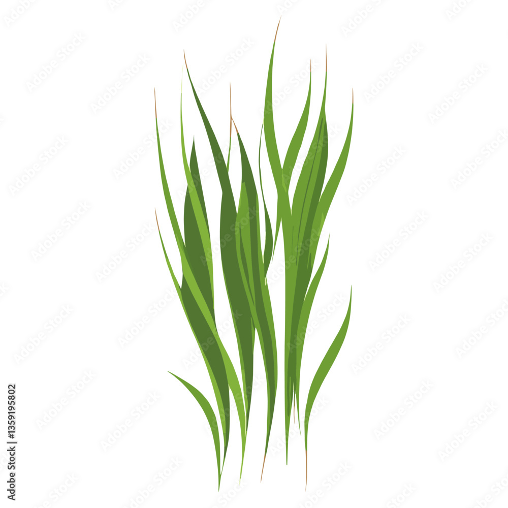 Flat vector of green grass plant leaf art vector Flat vector of green grass plant leaf art vector