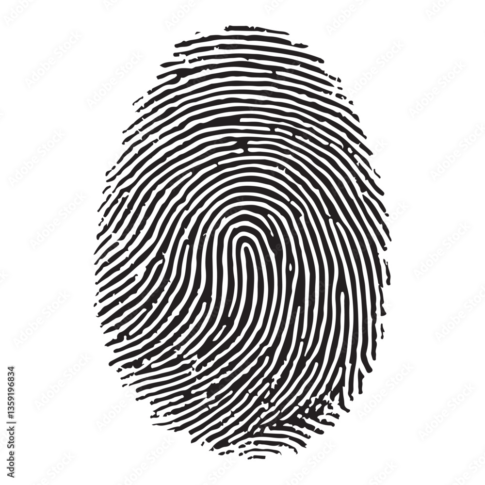 Detailed Fingerprint Pattern Vector Illustration for Identification Purposes Detailed Fingerprint Pattern Vector Illustration for Identification Purposes