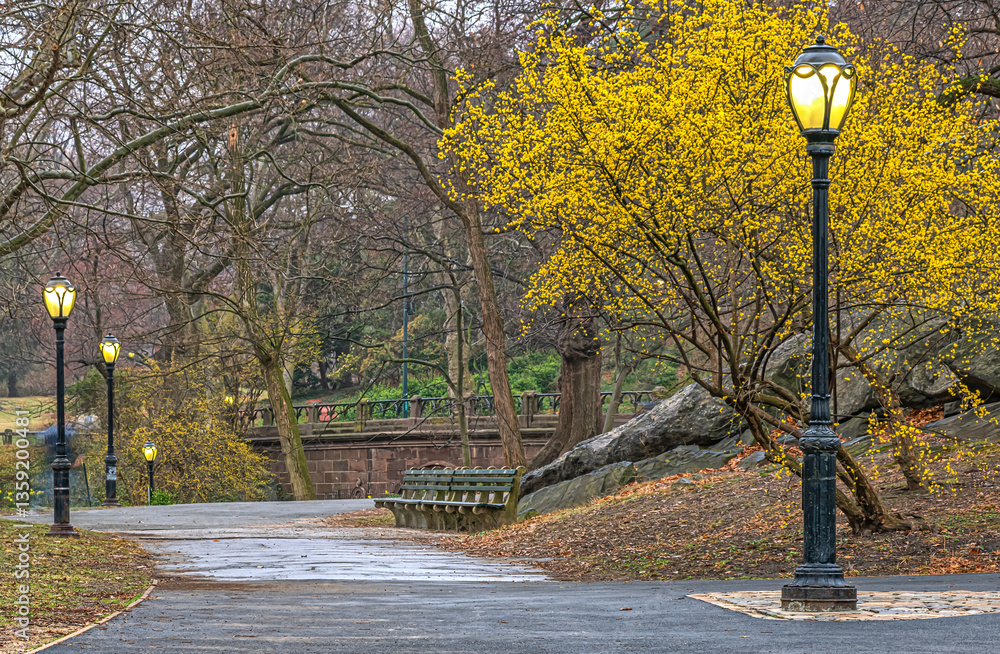 Central Park in spring