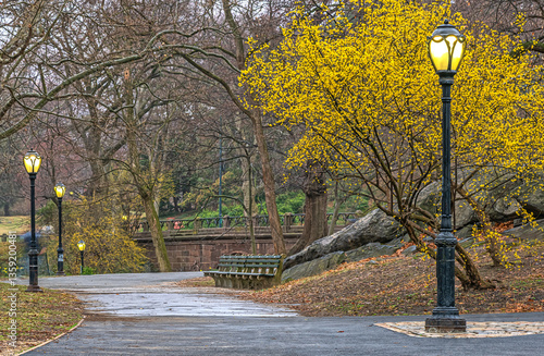Obraz na płótnie Central Park in spring w salonie