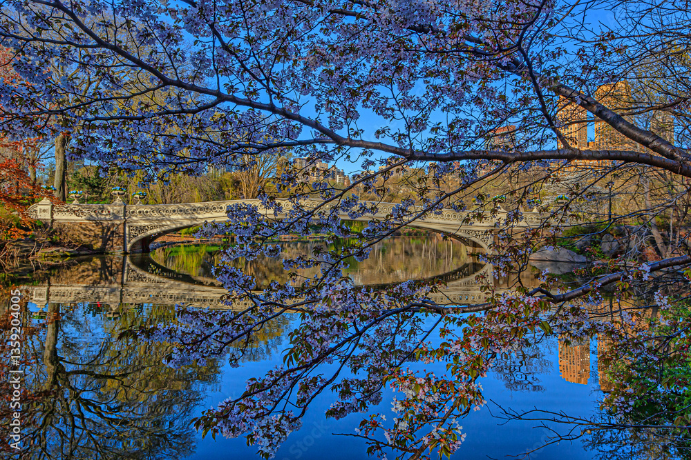 Bow bridge in early spring