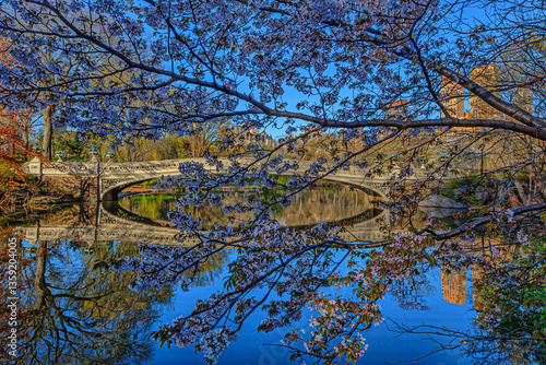 Obraz na płótnie Bow bridge in early spring w salonie
