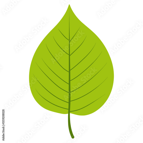 Green poplar leaf illustration simple eco-friendly vector