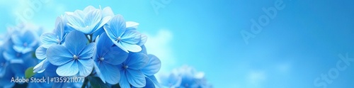 Blue hydrangea flowers with a vibrant blue sky background, symbolizing tranquility and serenity,  bloom,  nature