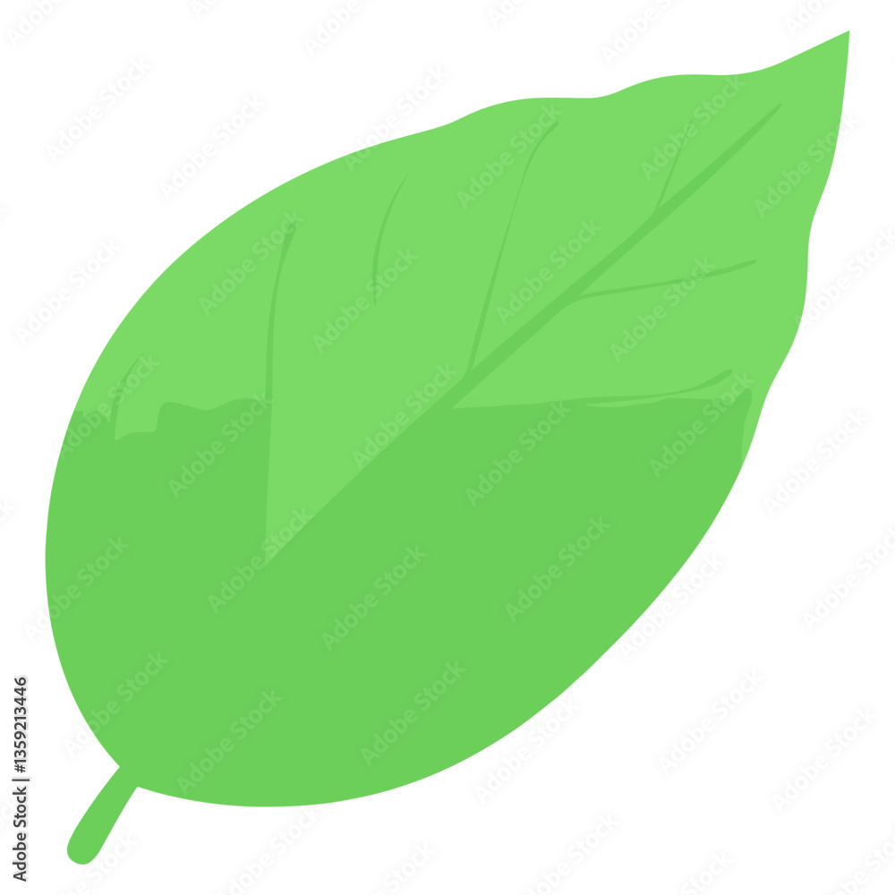 Basil leaf illustration eco-friendly botanical vector Basil leaf illustration eco-friendly botanical vector