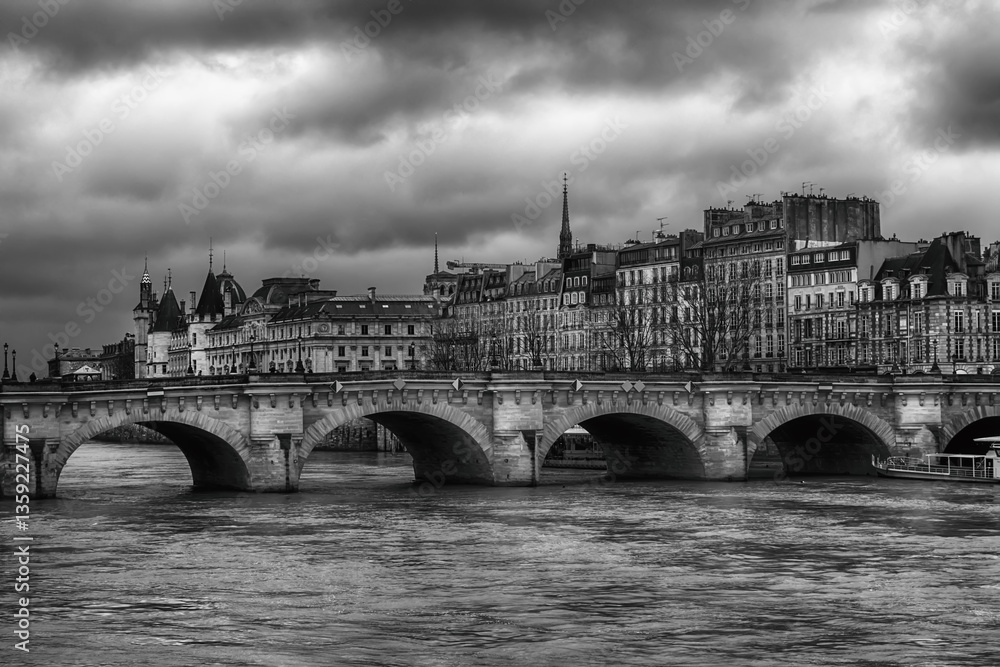 Fototapeta premium Bridge in Paris