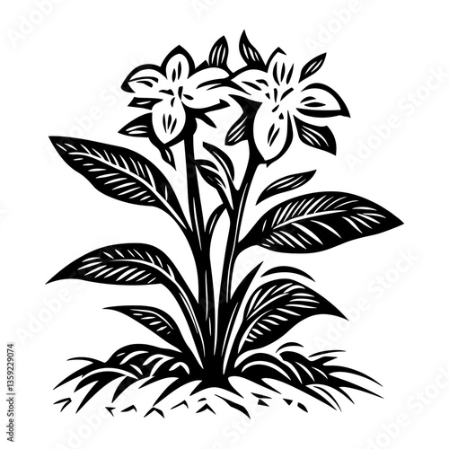 Floriculture farm illustration drawing flower vector