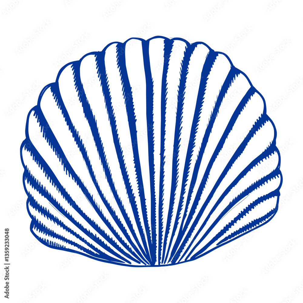 Fototapeta premium Sea shell illustration seashell design vector