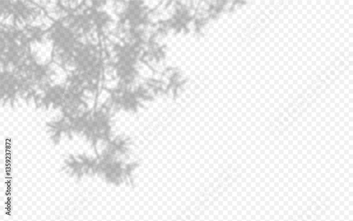 Shadow overlay from a pine tree branch isolated on a transparent background.