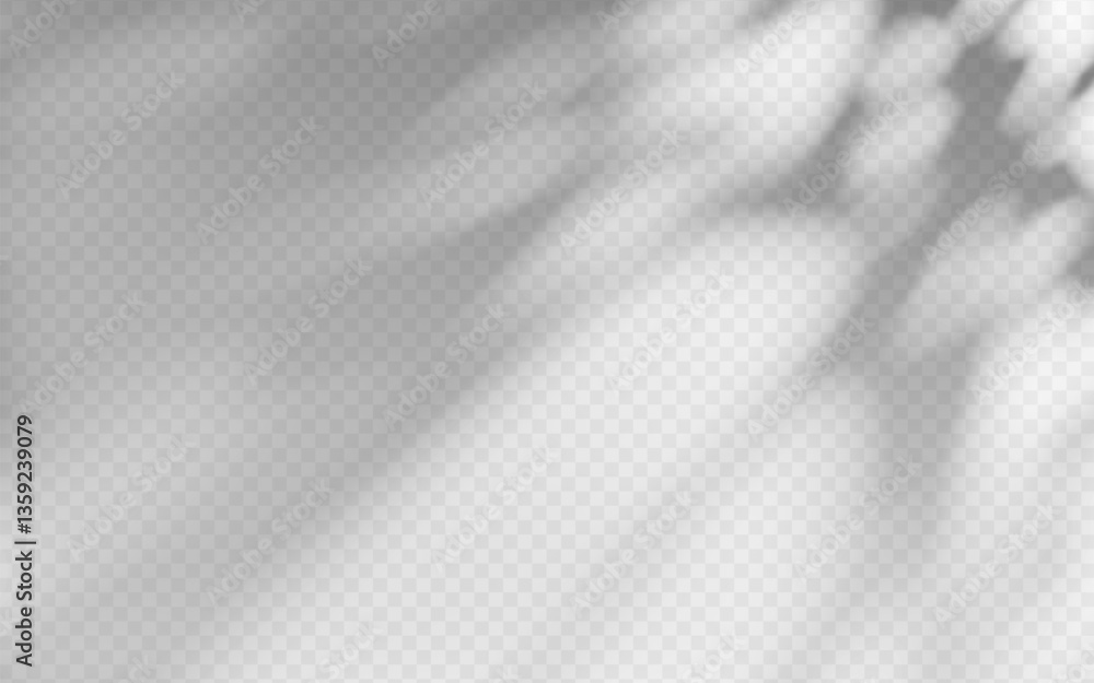 Fototapeta premium Abstract shadow overlay from foliage on a transparent background.