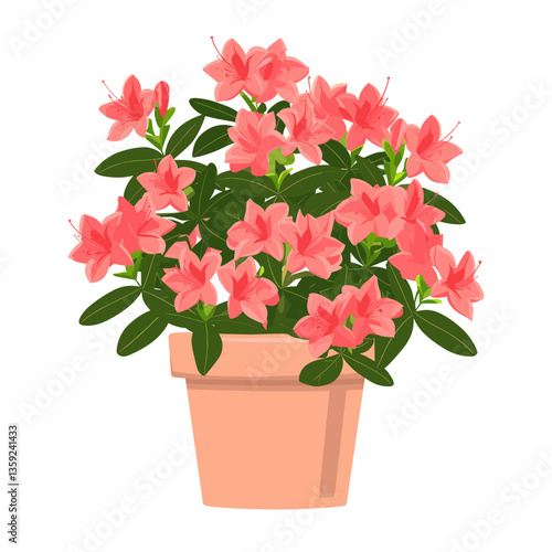 Potted plant Azaleas flowers illustration potted azalea vector