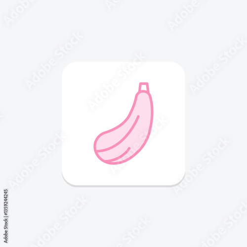 Zucchini, vector, pixel perfect, illustrator file