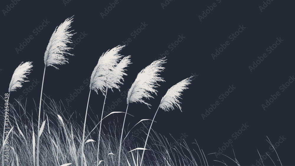 Obraz premium A monochrome close-up shot of several stalks of pampas grass against a dark background. The grass is white or light gray, appearing soft and wispy, with the plumes gently blowing in the wind. The
