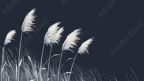 A monochrome close-up shot of several stalks of pampas grass against a dark background. The grass is white or light gray, appearing soft and wispy, with the plumes gently blowing in the wind. The